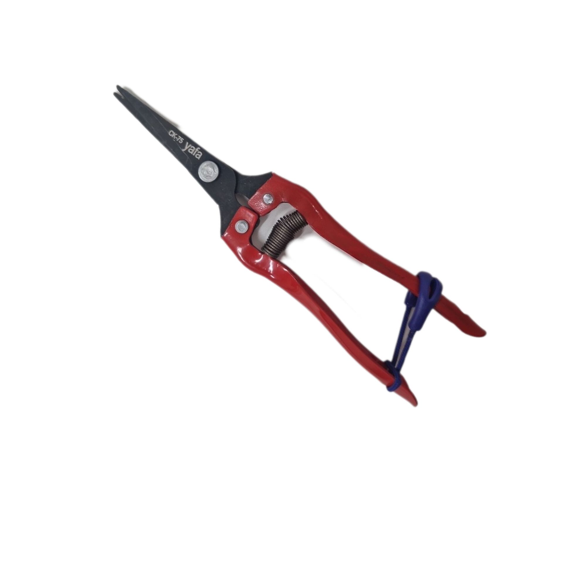 قیچی میوه یافا تیغ ck 75